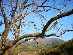 -塔川景区