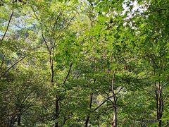 -藏龙百瀑风景区