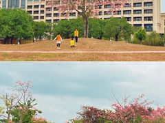 -风云岭森林公园