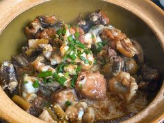 -红星光发煲仔饭(文海店)