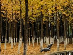 -艾溪湖湿地公园