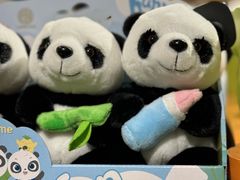 -广州长隆野生动物世界