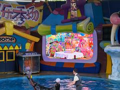 -海合安武汉极地海洋公园