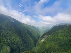 -武陵山森林公园