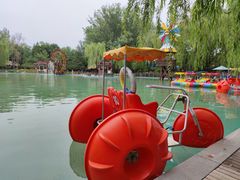 -南宫五洲植物乐园