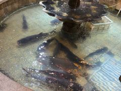 -万里闯关东铁锅炖菜馆(高新旗舰店)