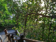 -Rock Bar Bali(Bali)