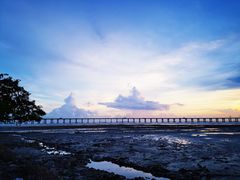 -宝安西湾红树林湿地公园