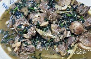 Perilla Duck with Green Head