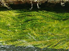 -田德能咖啡博物馆