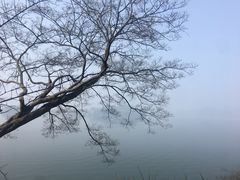 -青山湖景区