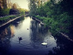 -长白岛森林公园