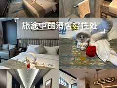 -浙江大学圆正·启真酒店
