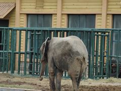 -哈尔滨北方森林动物园