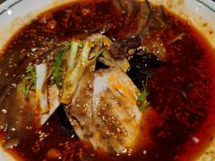 蜀宴长寿鸡片-蜀宴小调·精致家常菜(科华店)