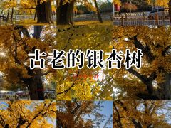 -清华大学玉泉医院