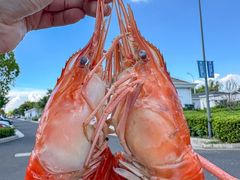 -品鲜村农家菜·阳澄湖大闸蟹(总店)