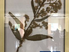 -杭州市萧山区中医院