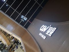 -CGV星星影城(颐堤港ScreenX店)