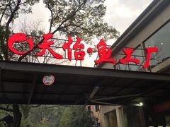门面-天怡·鱼工厂(梅溪湖店)
