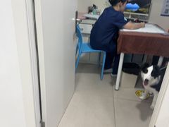 -佳雯宠物医院·皮肤科·内外科(春晓路分院)