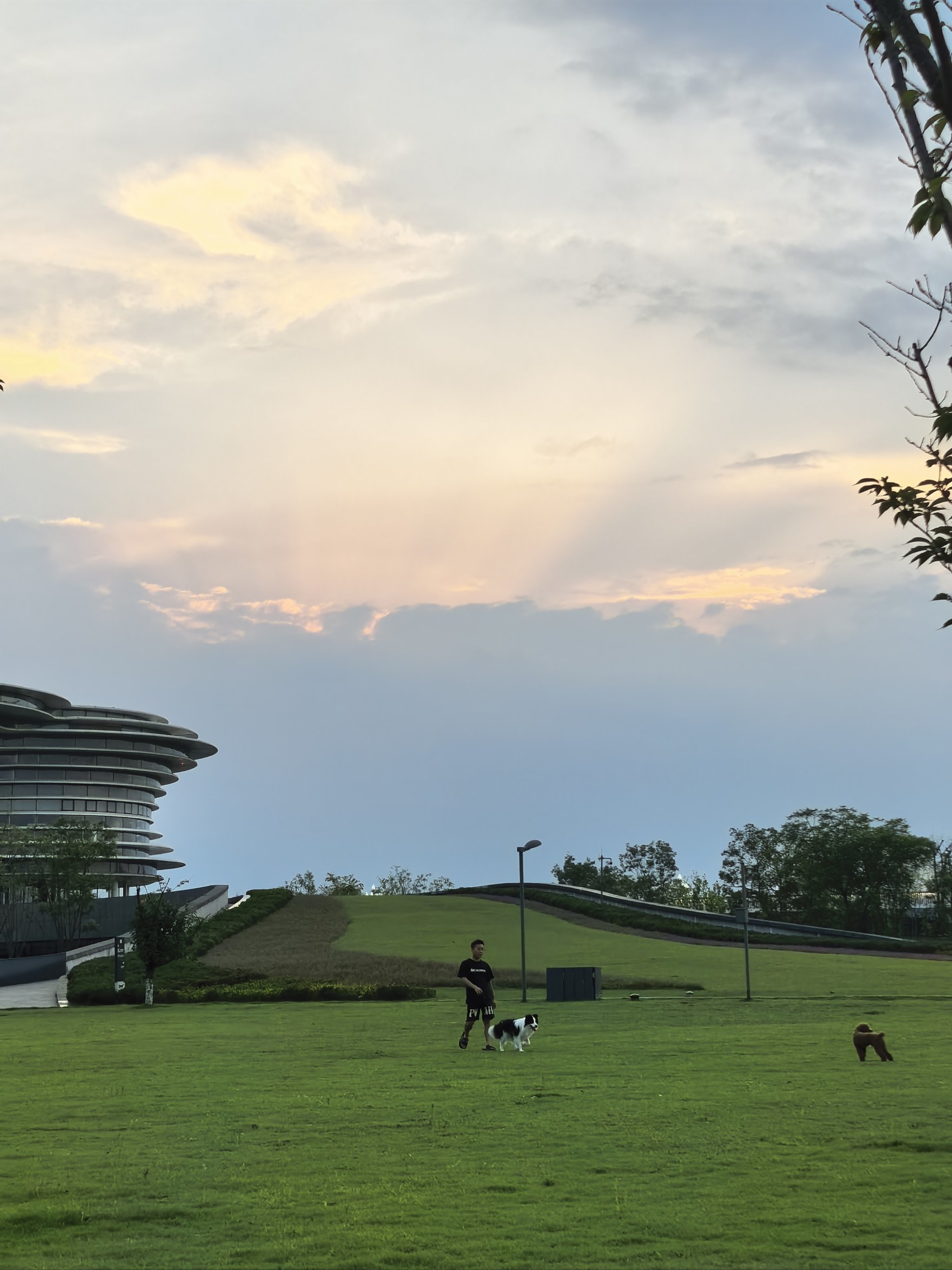 双流这里也好适合拍夕阳