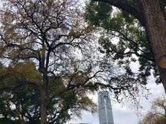 -柳侯公园