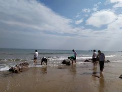 -青岛银沙滩