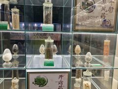 -广东中医药博物馆