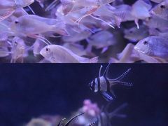 -成都浩海立方海洋公园