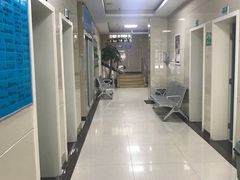 -康旭宠物医院(郑州总院)