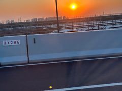 -菊园百果园