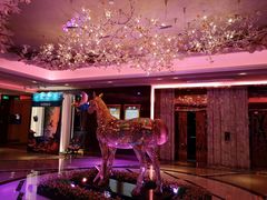 -纯K(打浦桥店)