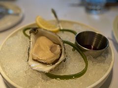 吉拉多生蚝-壳里西餐厅Coquille Seafood Bistro(蒙自路店)