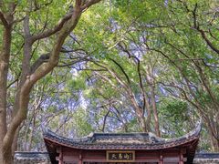 -上海佘山国家森林公园天马山园