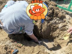 -大兴滨河森林公园