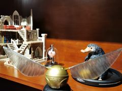 -歪歪宫殿·生日派对·团建聚会·轰趴·Wonder Palazzo