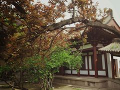 -西安青龙寺遗址景区