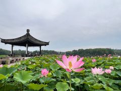 -尚湖风景区