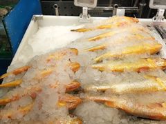 -盒马鲜生(领丰汇店)
