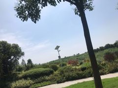 -洪湖湿地生态园