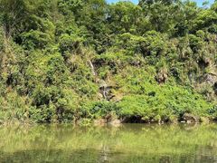 -水濂山森林公园