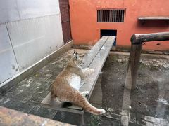 -青藏高原野生动物园