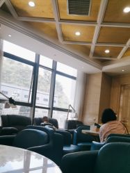 -碧莲盛·不剃发植发