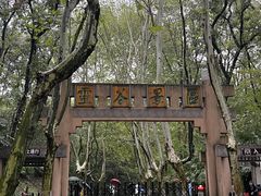 -灵谷景区