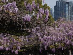 -双拥公园