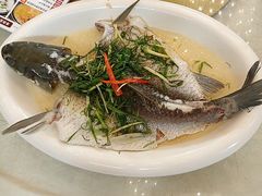 -雅香园·30年老字号顺德酒家(乐从岳步店)