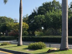 -黄金海岸环岛路