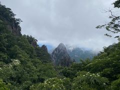-黄山温泉国际旅游度假区