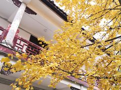 -南岳衡山风景名胜区-南岳大庙